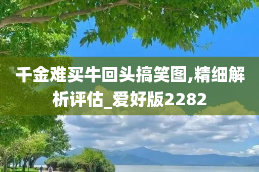 千金难买牛回头搞笑图,精细解析评估_爱好版2282