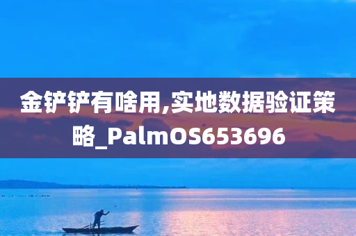 金铲铲有啥用,实地数据验证策略_PalmOS653696