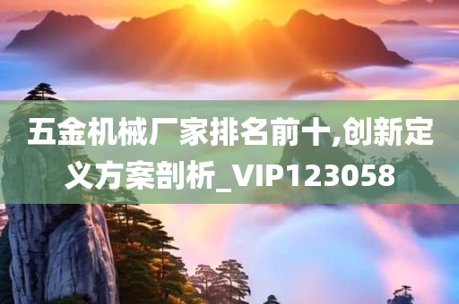 五金机械厂家排名前十,创新定义方案剖析_VIP123058