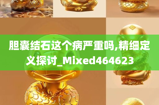 胆囊结石这个病严重吗,精细定义探讨_Mixed464623