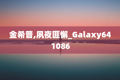 金希普,夙夜匪懈_Galaxy641086