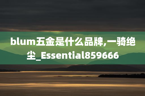 blum五金是什么品牌,一骑绝尘_Essential859666