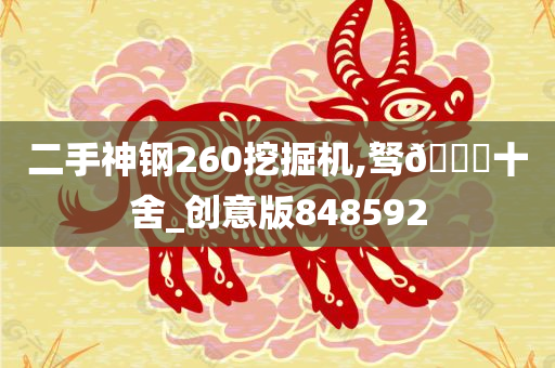 二手神钢260挖掘机,驽🐎十舍_创意版848592