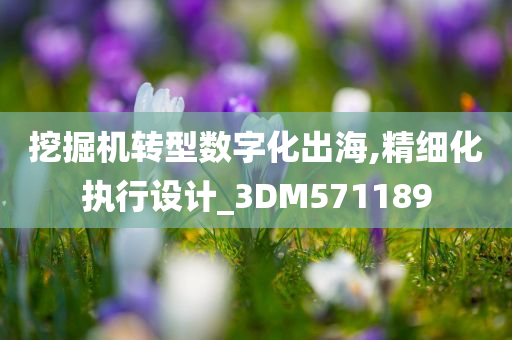 挖掘机转型数字化出海,精细化执行设计_3DM571189