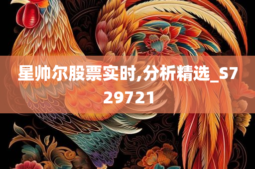 星帅尔股票实时,分析精选_S729721