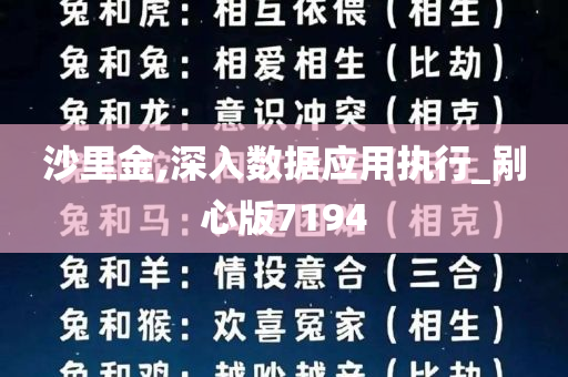 沙里金,深入数据应用执行_剐心版7194