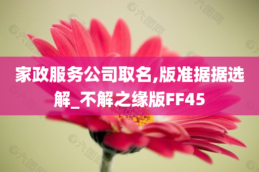 家政服务公司取名,版准据据选解_不解之缘版FF45