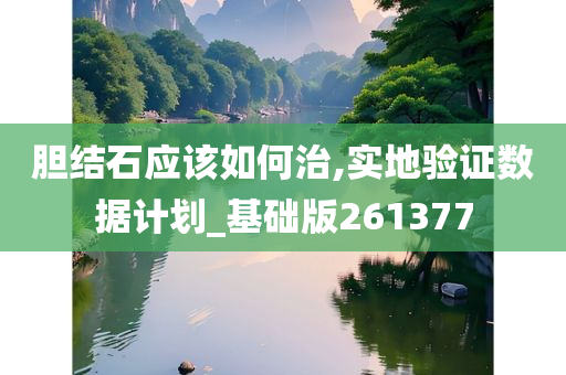 胆结石应该如何治,实地验证数据计划_基础版261377