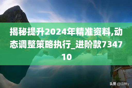 揭秘提升2024年精准资料,动态调整策略执行_进阶款734710