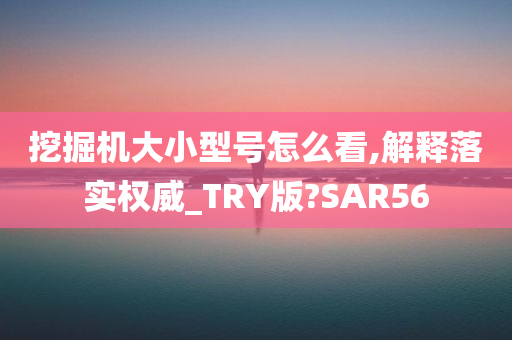 挖掘机大小型号怎么看,解释落实权威_TRY版?SAR56