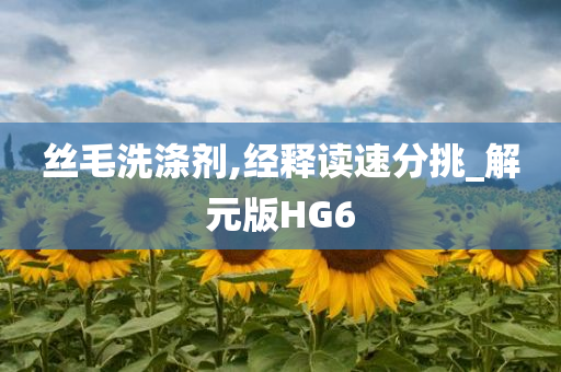 丝毛洗涤剂,经释读速分挑_解元版HG6