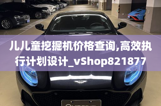 儿儿童挖掘机价格查询,高效执行计划设计_vShop821877