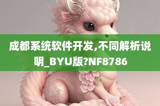 成都系统软件开发,不同解析说明_BYU版?NF8786