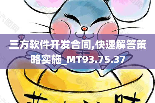 三方软件开发合同,快速解答策略实施_MT93.75.37