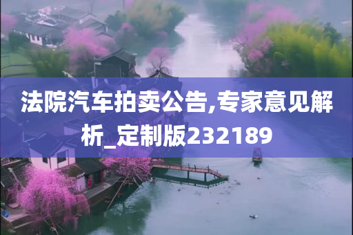 法院汽车拍卖公告,专家意见解析_定制版232189