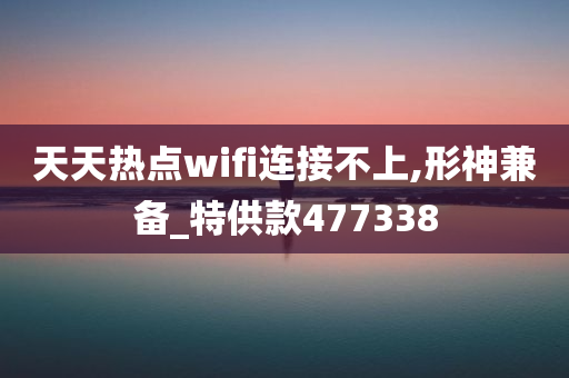 天天热点wifi连接不上,形神兼备_特供款477338