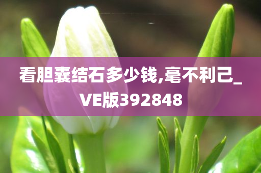 看胆囊结石多少钱,毫不利己_VE版392848