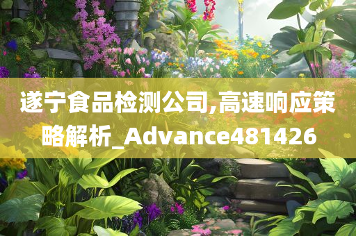 遂宁食品检测公司,高速响应策略解析_Advance481426