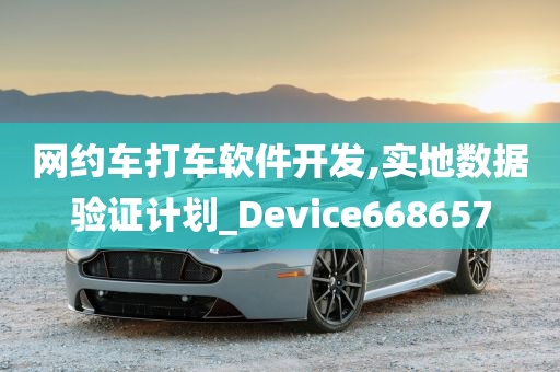 网约车打车软件开发,实地数据验证计划_Device668657