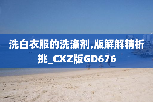 洗白衣服的洗涤剂,版解解精析挑_CXZ版GD676