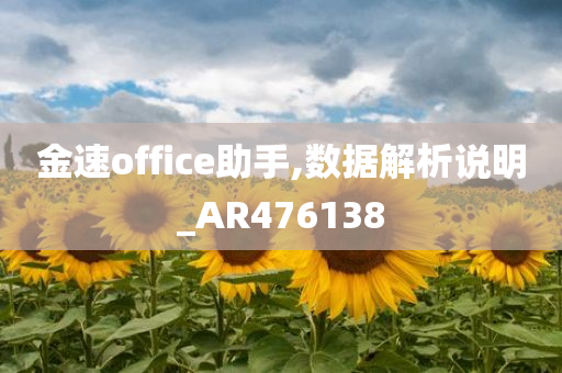 金速office助手,数据解析说明_AR476138