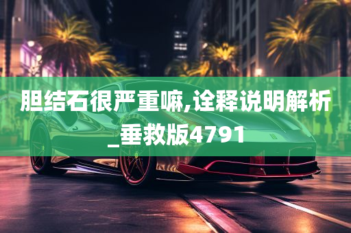 胆结石很严重嘛,诠释说明解析_垂救版4791