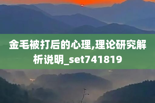 金毛被打后的心理,理论研究解析说明_set741819