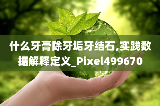 什么牙膏除牙垢牙结石,实践数据解释定义_Pixel499670