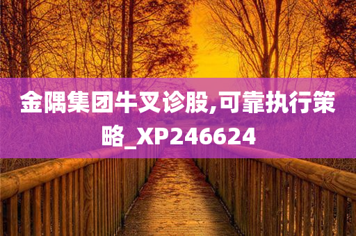 金隅集团牛叉诊股,可靠执行策略_XP246624