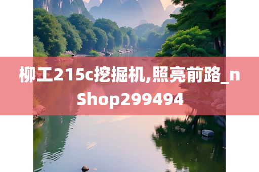 柳工215c挖掘机,照亮前路_nShop299494