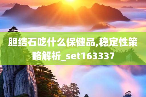 胆结石吃什么保健品,稳定性策略解析_set163337