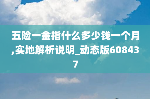 五险一金指什么多少钱一个月,实地解析说明_动态版608437