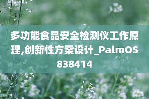 多功能食品安全检测仪工作原理,创新性方案设计_PalmOS838414