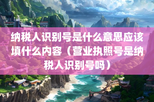 纳税人识别号是什么意思应该填什么内容（营业执照号是纳税人识别号吗）