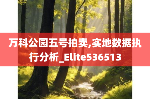 万科公园五号拍卖,实地数据执行分析_Elite536513