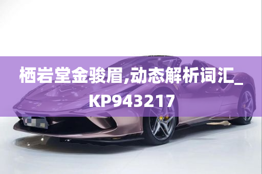 栖岩堂金骏眉,动态解析词汇_KP943217