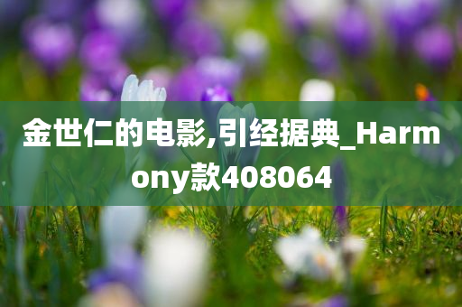 金世仁的电影,引经据典_Harmony款408064