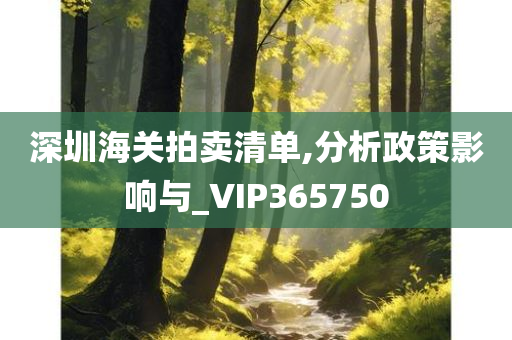 深圳海关拍卖清单,分析政策影响与_VIP365750