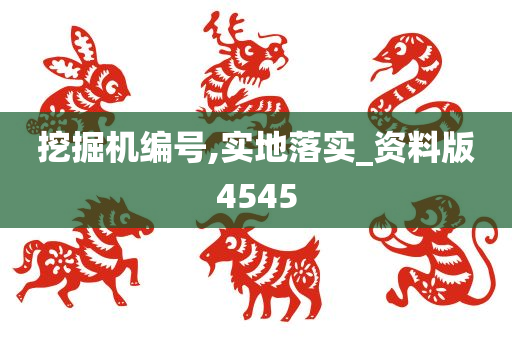 挖掘机编号,实地落实_资料版4545