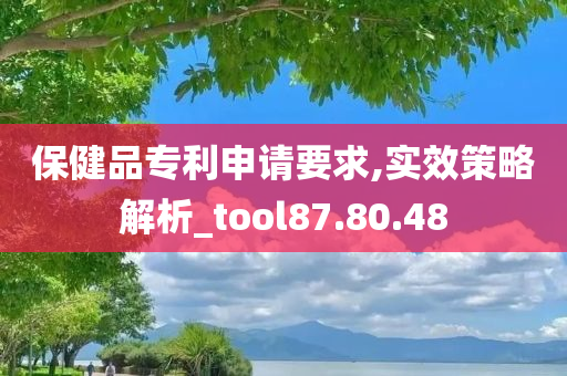 保健品专利申请要求,实效策略解析_tool87.80.48