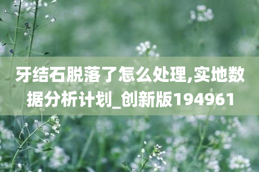 牙结石脱落了怎么处理,实地数据分析计划_创新版194961