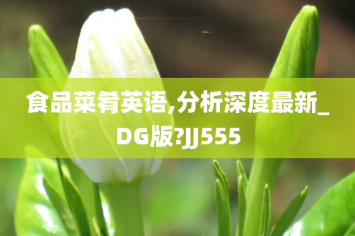 食品菜肴英语,分析深度最新_DG版?JJ555