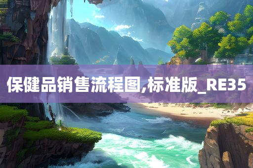 保健品销售流程图,标准版_RE35