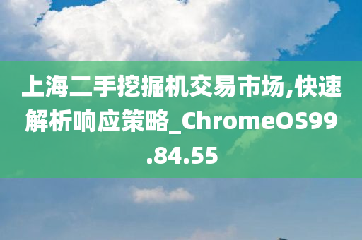 上海二手挖掘机交易市场,快速解析响应策略_ChromeOS99.84.55