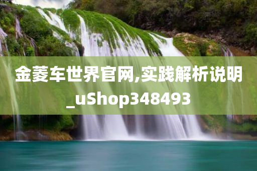 金菱车世界官网,实践解析说明_uShop348493