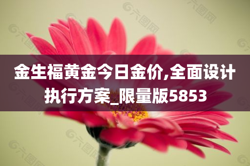 金生福黄金今日金价,全面设计执行方案_限量版5853