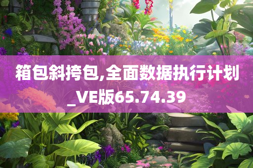 箱包斜挎包,全面数据执行计划_VE版65.74.39