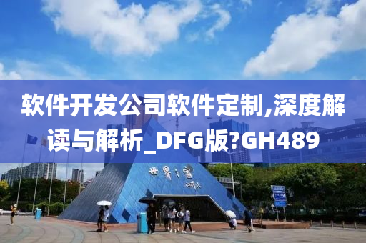 软件开发公司软件定制,深度解读与解析_DFG版?GH489