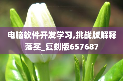 电脑软件开发学习,挑战版解释落实_复刻版657687