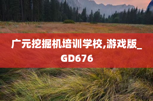 广元挖掘机培训学校,游戏版_GD676